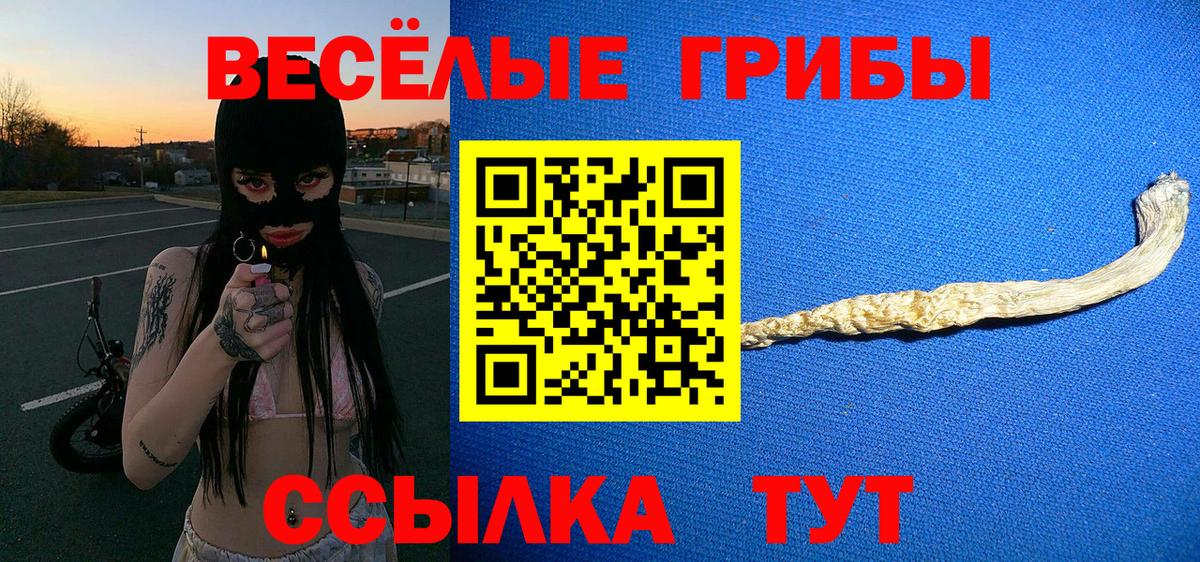 Псилоцибиновые грибы прущие грибы  Вход с VPN  Мегион 